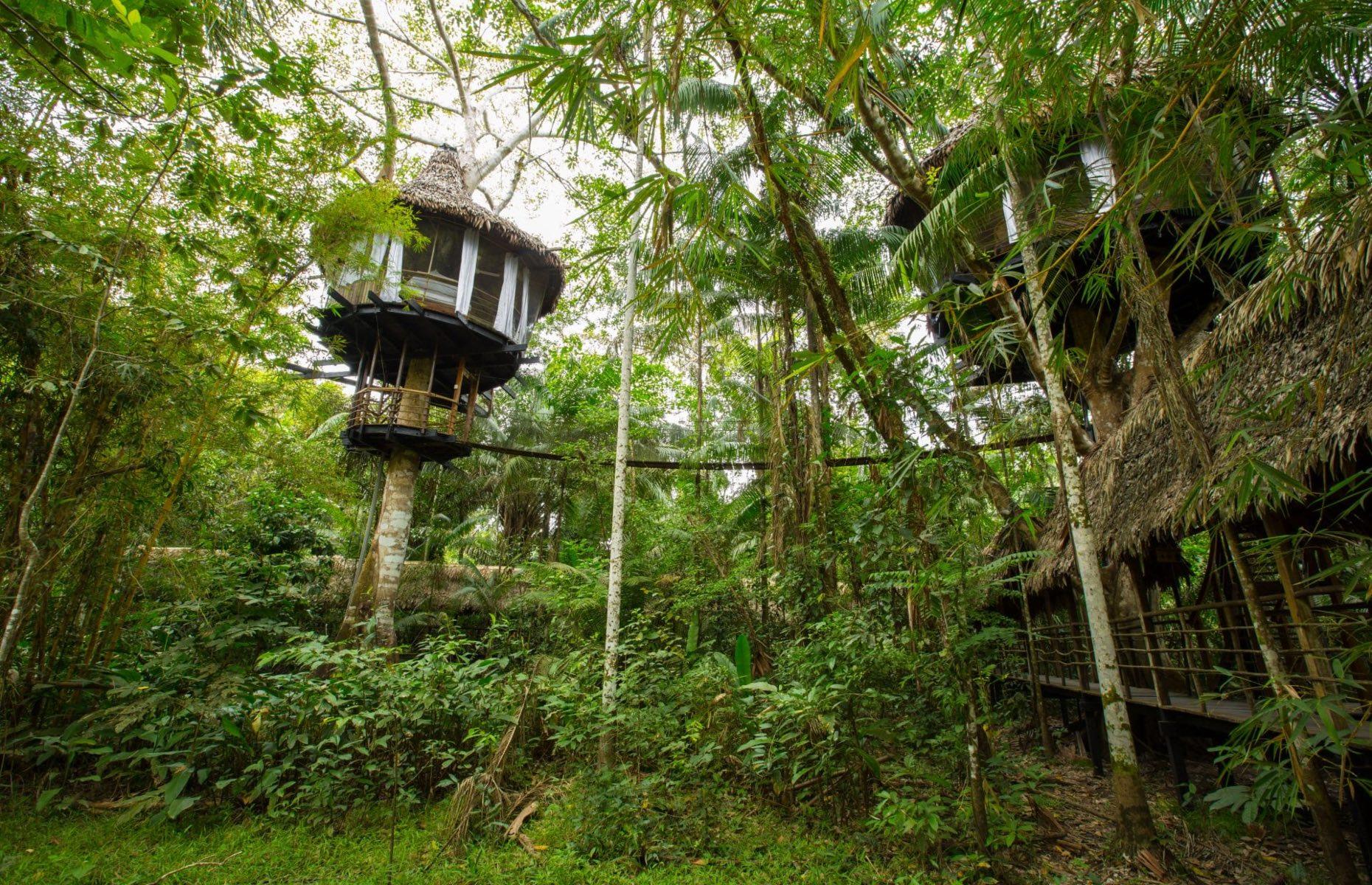 Treehouse Lodge, Peru